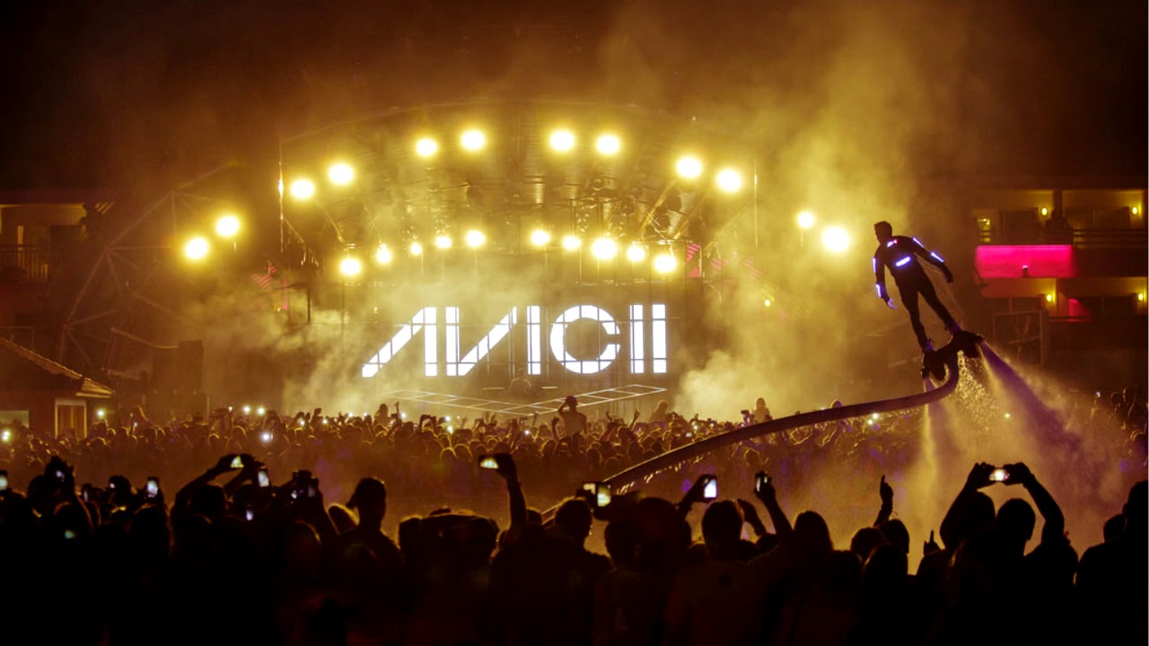 Avicii - Gotta stand up