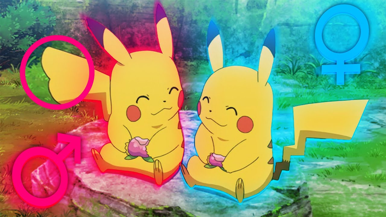 WSZYSTKIE R&Oacute;ŻNICE PŁCIOWE W POKEMONACH ORAZ ICH GENEZA | PART 1