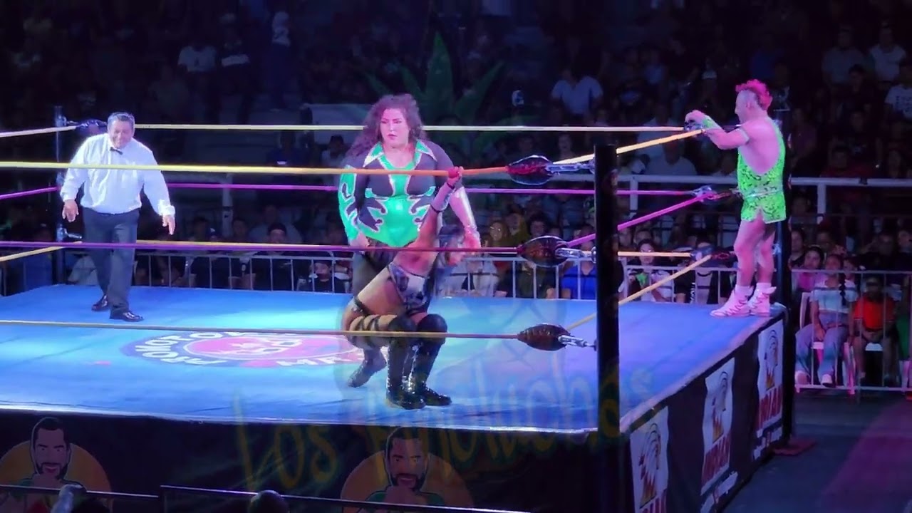 LOS PIÑOLUCHAS Segunda Lucha Goya Kong, Maximo VS Sussy Love, La Dixy