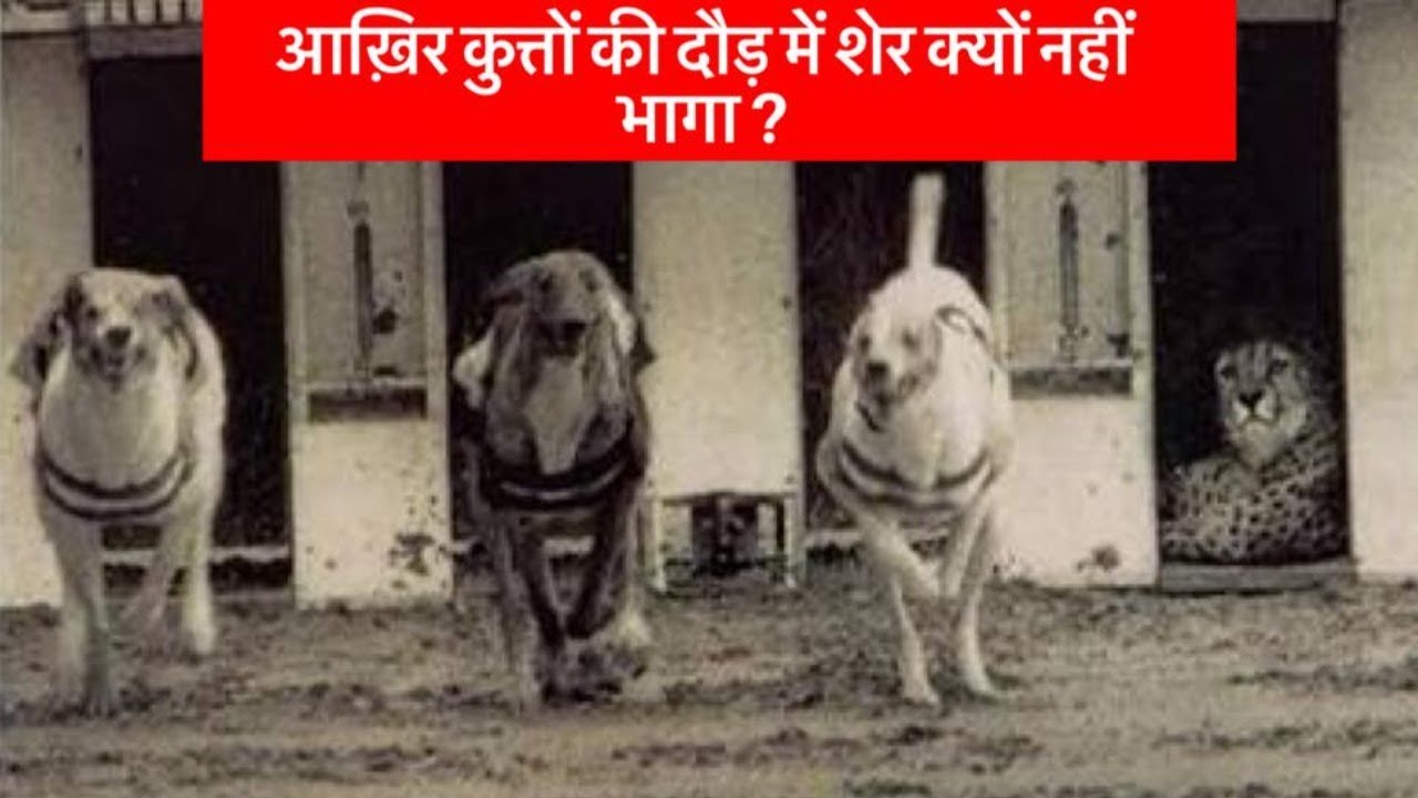 GALAXY AXIS का जवाब पहली और आखरी बार