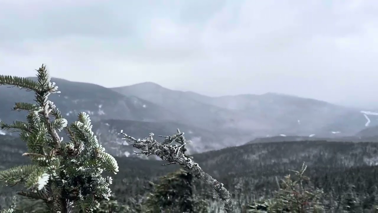 Джексон