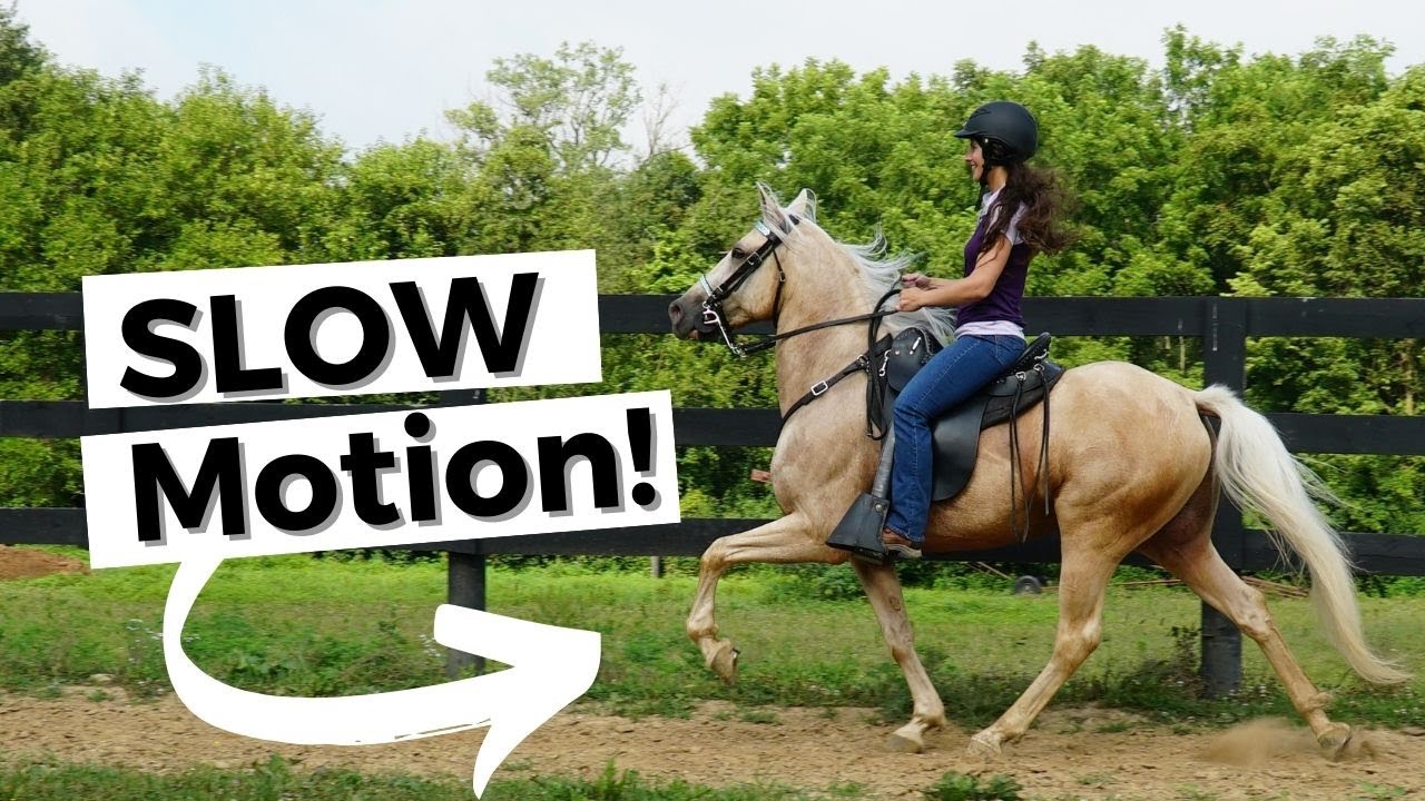 Incredible Horses in Slow Motion!