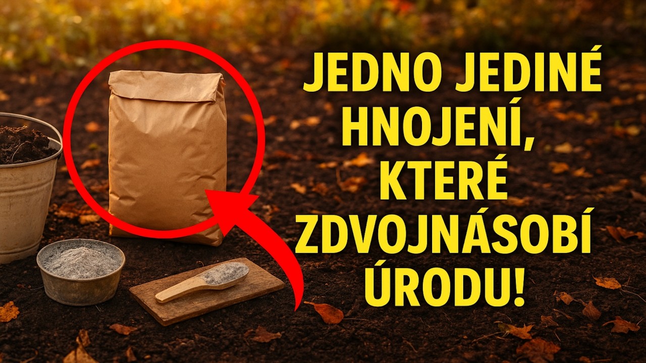 Jedno jediné poslední přihnojení, které zdvojnásobí vaši úrodu! Čím přihnojit půdu hned teď?