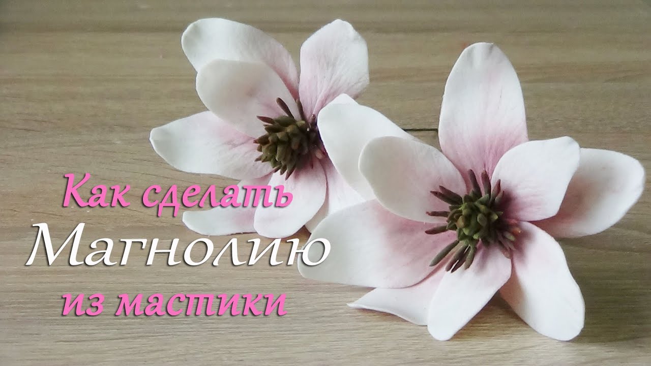 Магнолия из мастики Подробный видео урок