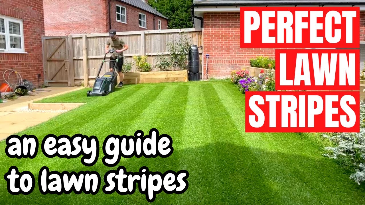 An Easy Guide to PERFECT Lawn Stripes - How to Stripe Your Lawn