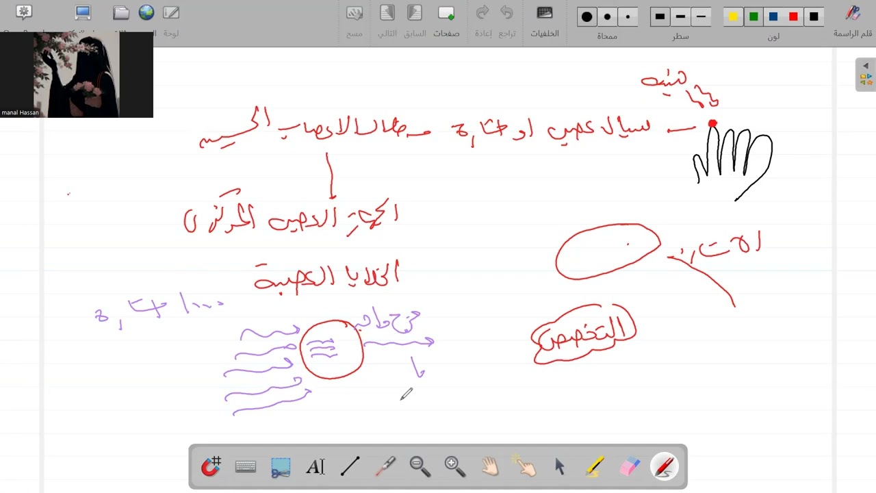 الخلايا العصبية بالتفصيل