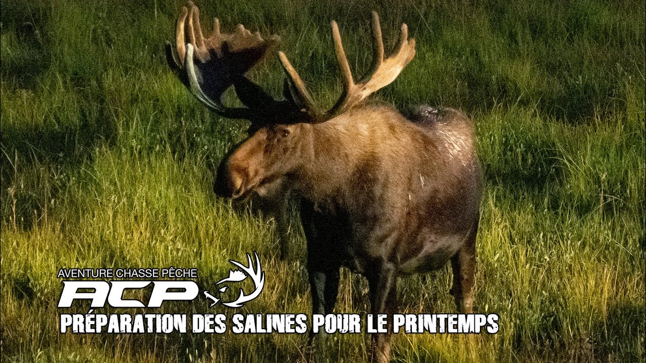 Préparation des salines pour le printemps