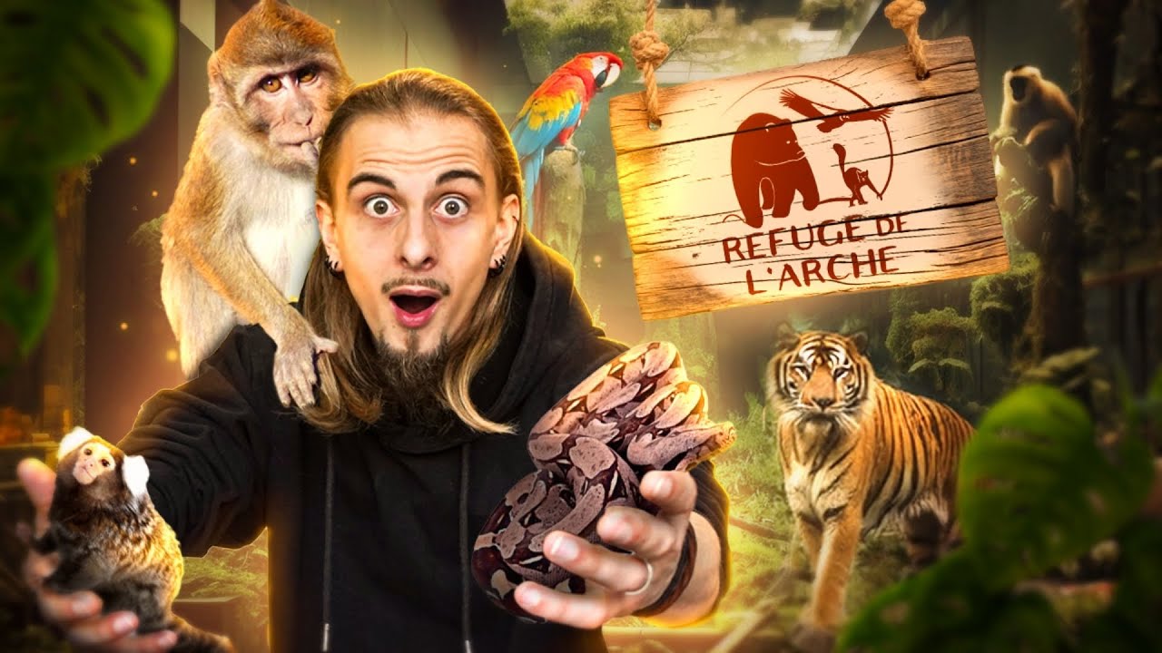 Je visite le REFUGE DE L'ARCHE ! Des ANIMAUX au passé DIFFICILE ! [ MES BESTIOLES D'ABORD ]