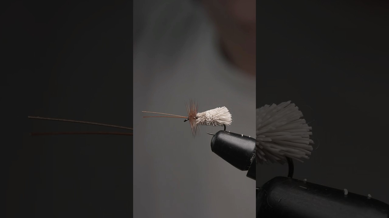 Fly Tying: Goddard Caddis Dry Fly #flytying #dryfly #flytyingvideo