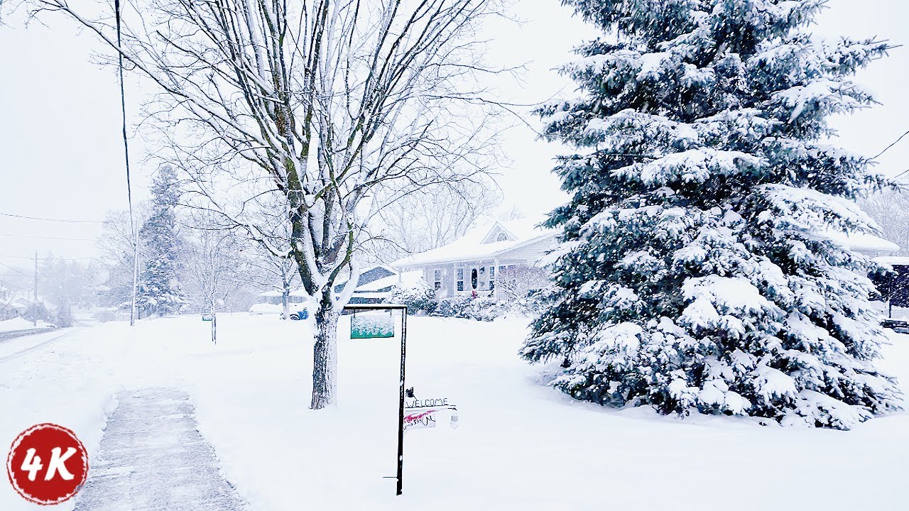 Early Morning Snow Walk | Quiet Small Town After a Night of Snow Squalls, Ontario, Canada