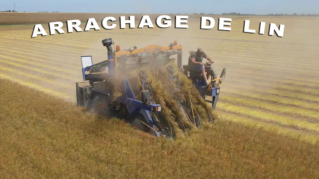 Arrachage de lin // Union GE 220 🌾