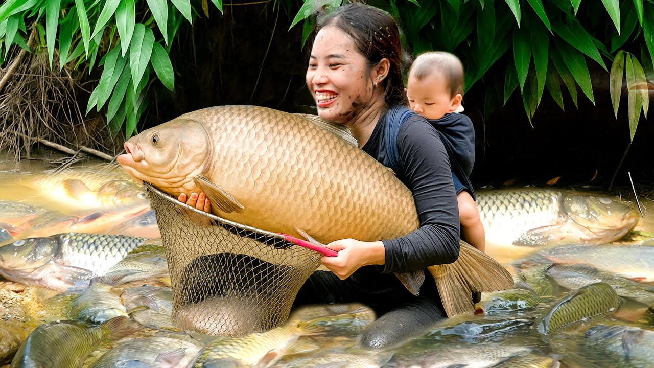 Harvesting Giant Carp and Catfish on Sunny Day by BARE hand to sell at Market with Two Kids