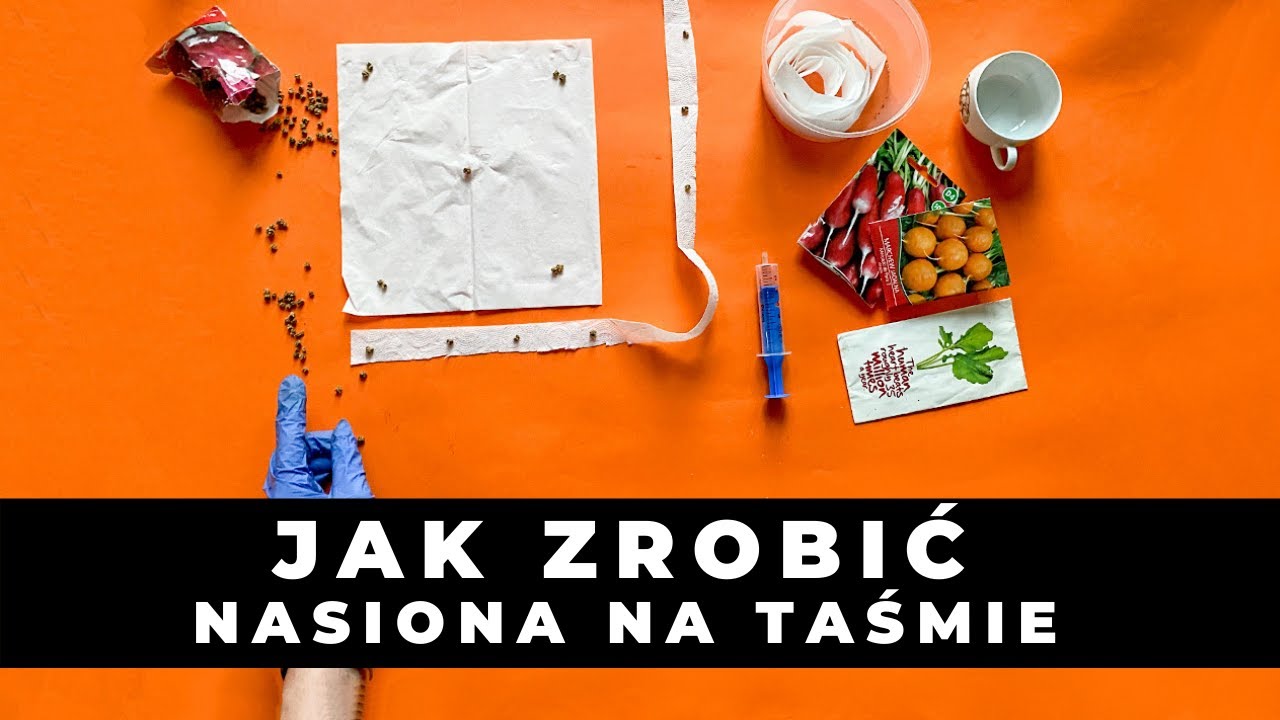 Jak zrobić NASIONA NA TAŚMIE ? Jak szybko i skutecznie wysiewać nasiona warzyw - TAŚMY NASIENNE
