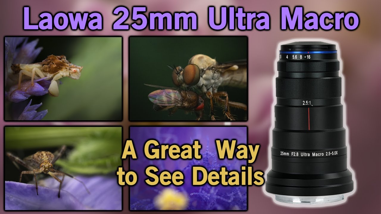Laowa 25mm 2.5x-5x Ultra Macro