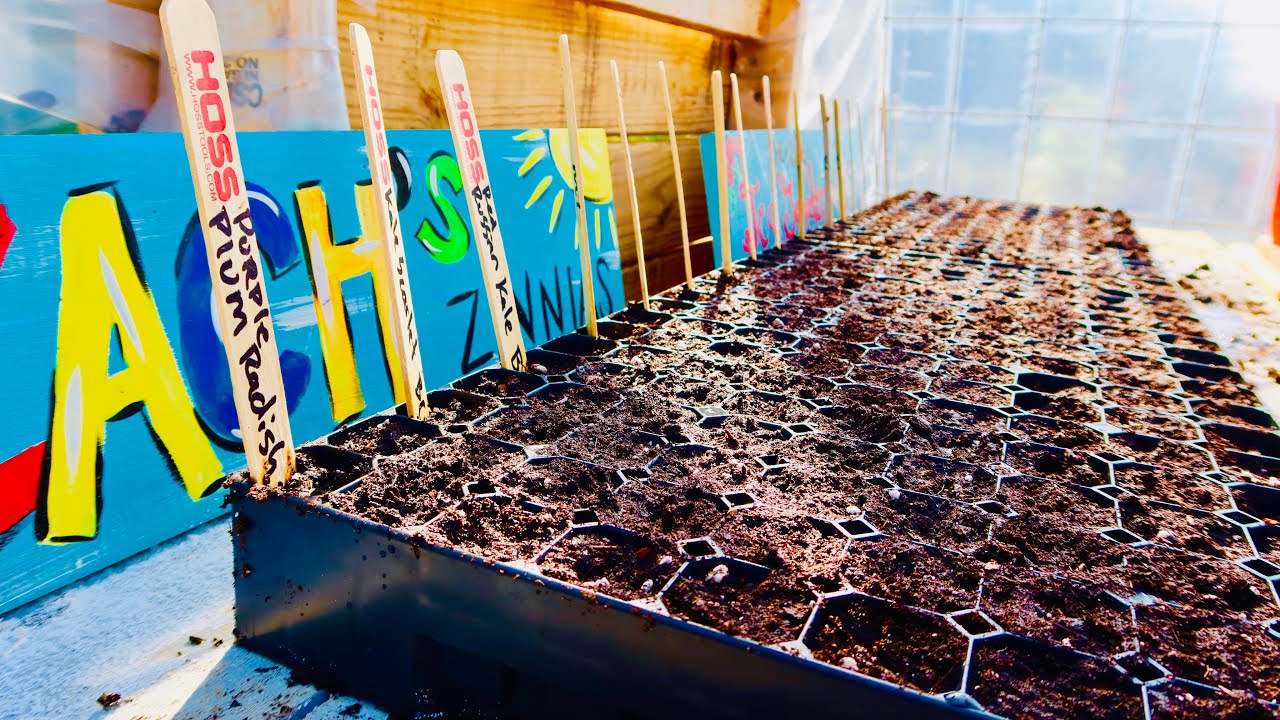 FALL Garden Planting | SEED Starting 101