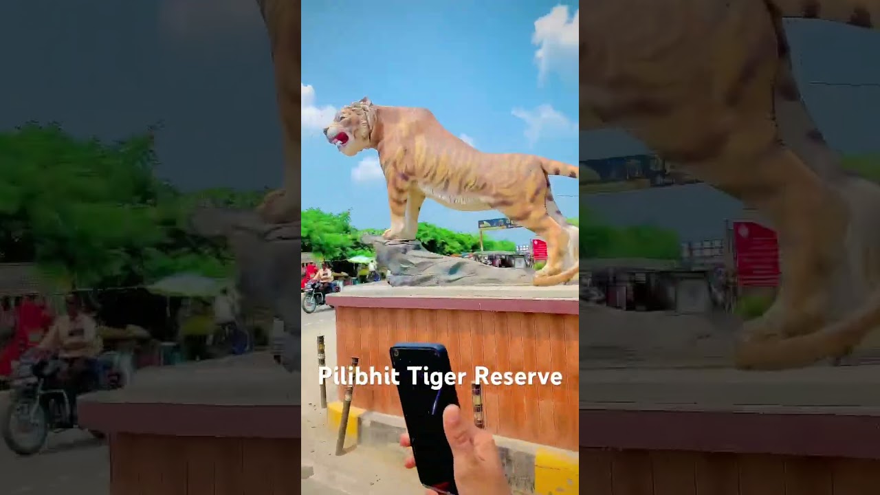 Pilibhit Tiger Reserve #pilibhit #blogger #bloggerlifestyle