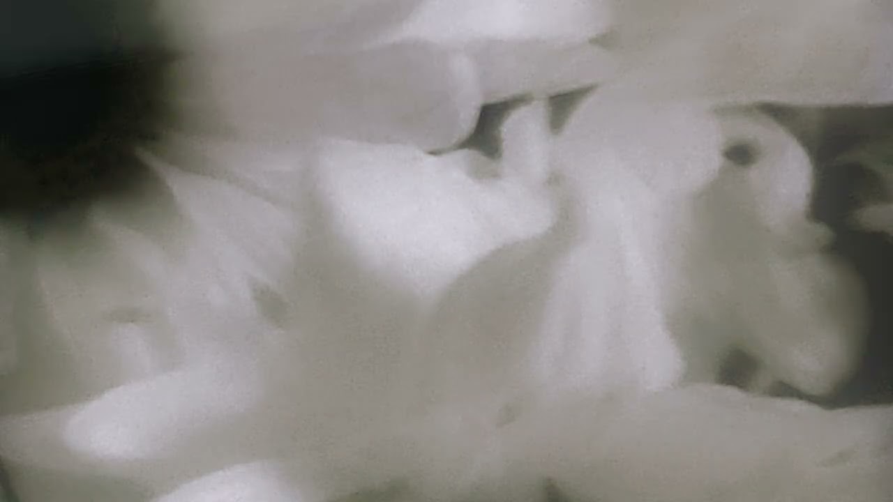 jxmmyni - wither (visualizer)