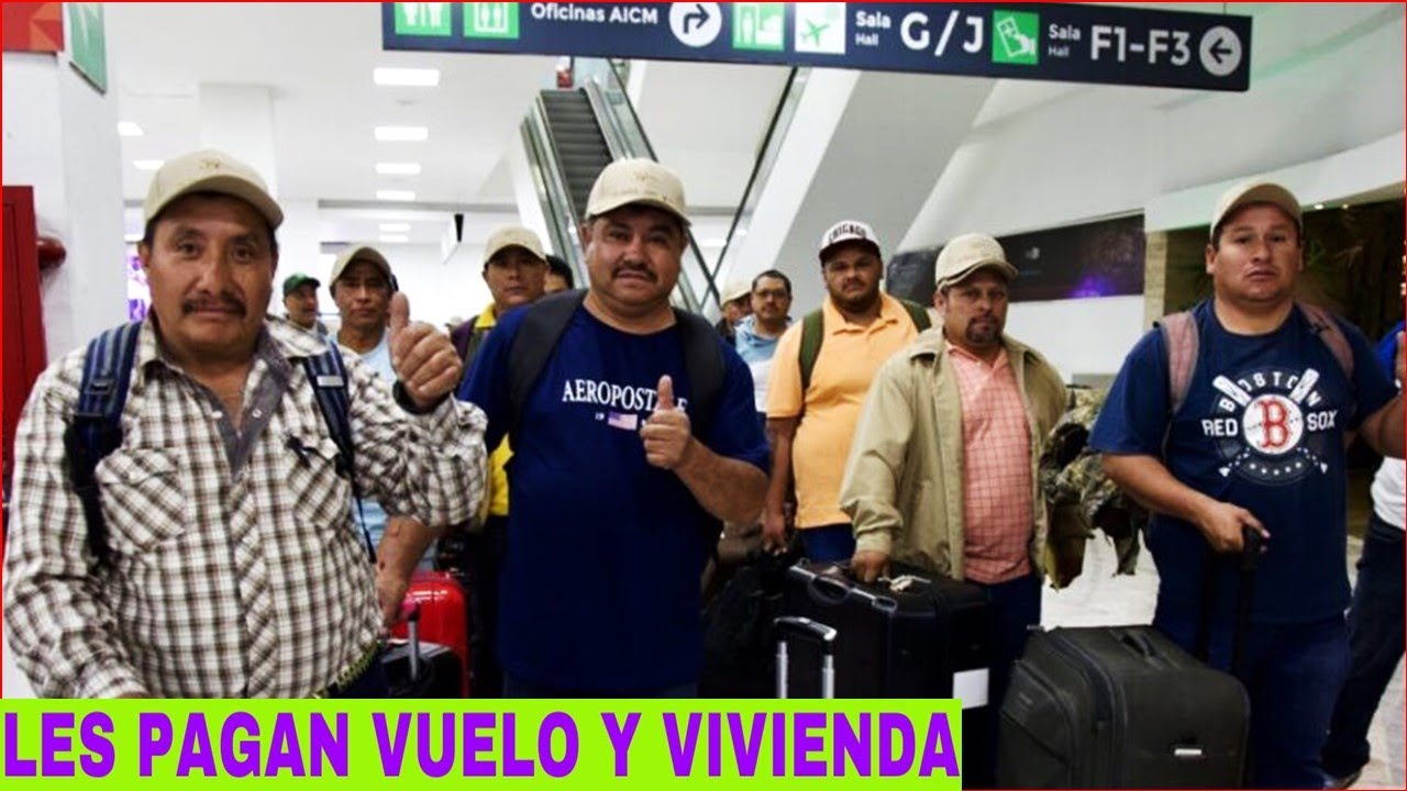 Miles de Latinos Consiguen Trabajo en Canadá Así | DesafioTorontoJC