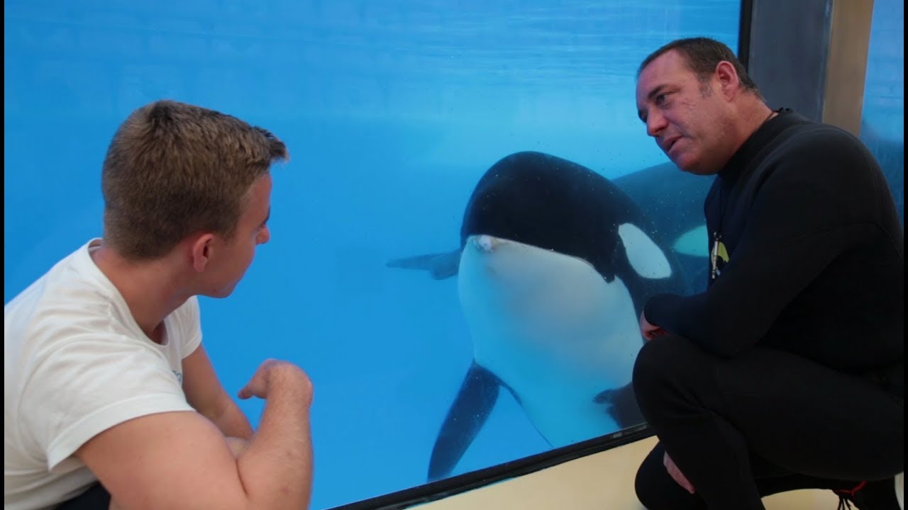 William - Prácticas en Loro Parque