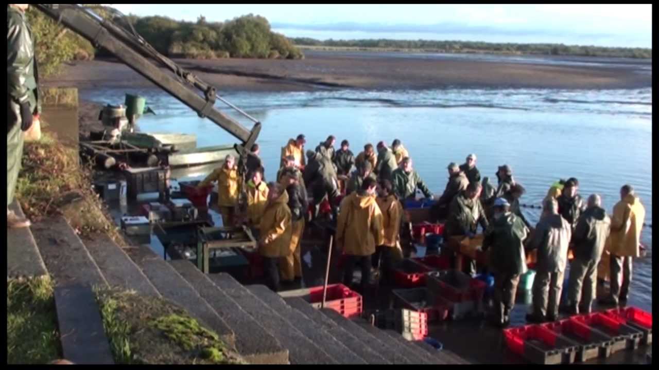 Pêche en Brenne