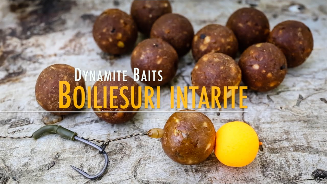 Boiliesuri intarite