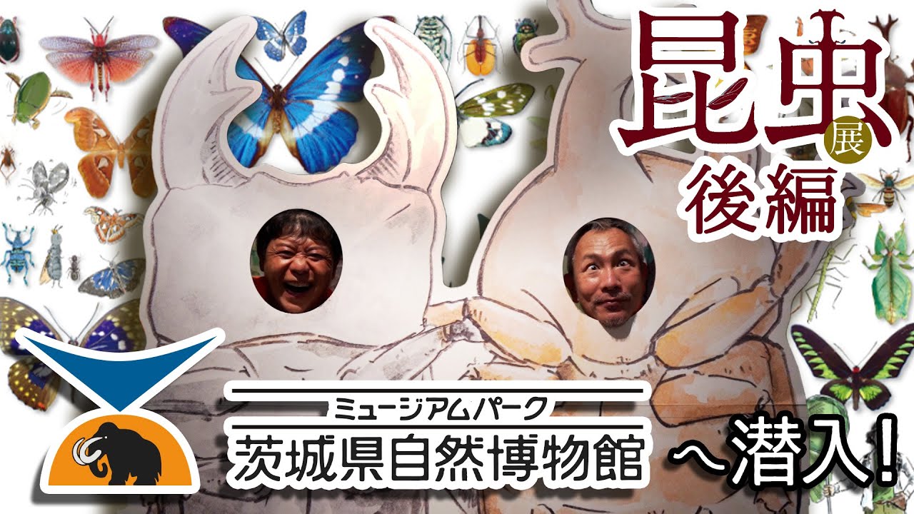 【昆虫展後編】初！！博物館へ潜入！