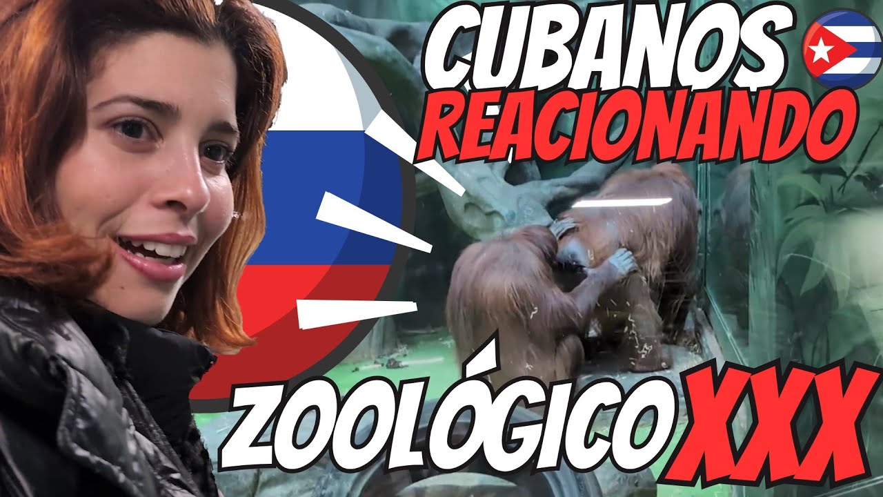 ❌️ZOOLÓGICO QUE NUNCA DEBES IR CON NIÑOS❌️👦 Zoo moscú 