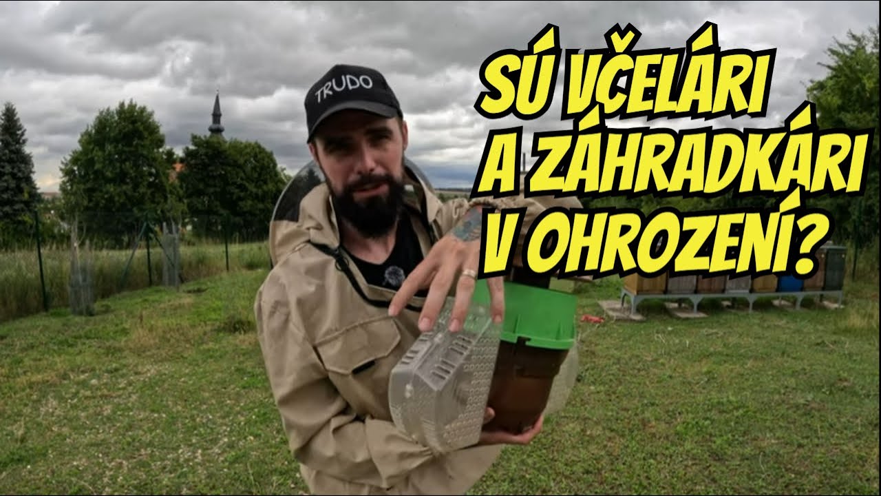 Môžeme vôbec zastaviť sršňa ázijského?