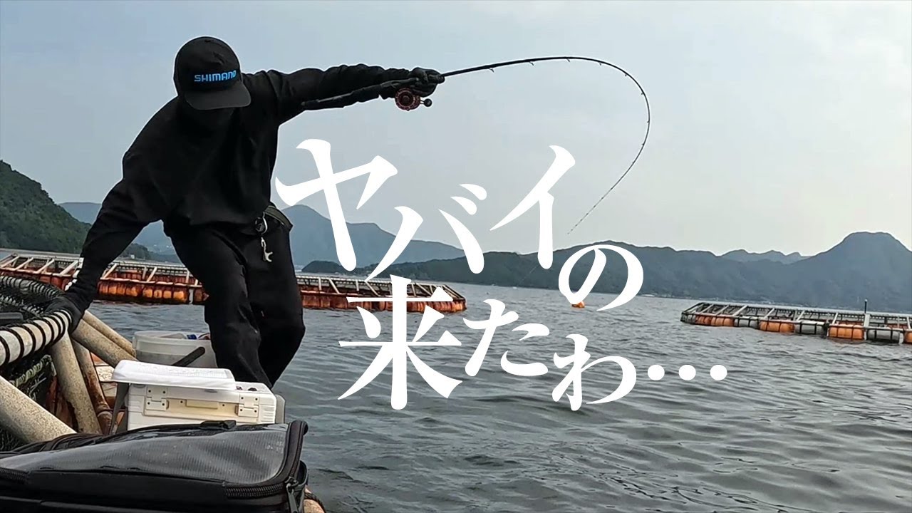 夢の大物真鯛連発！楽しい釣りのはずが悲劇の結末を迎える･･･