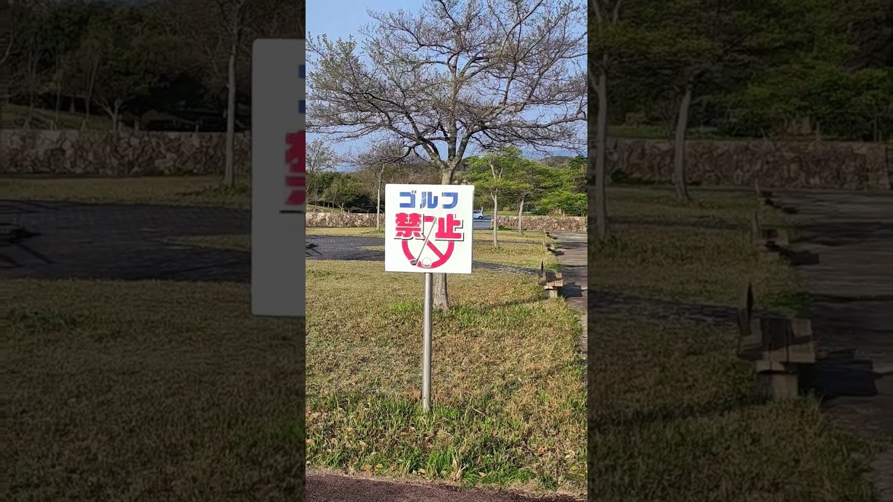 平日まったり昼下がり #shots #komozaKouen #菰沢公園