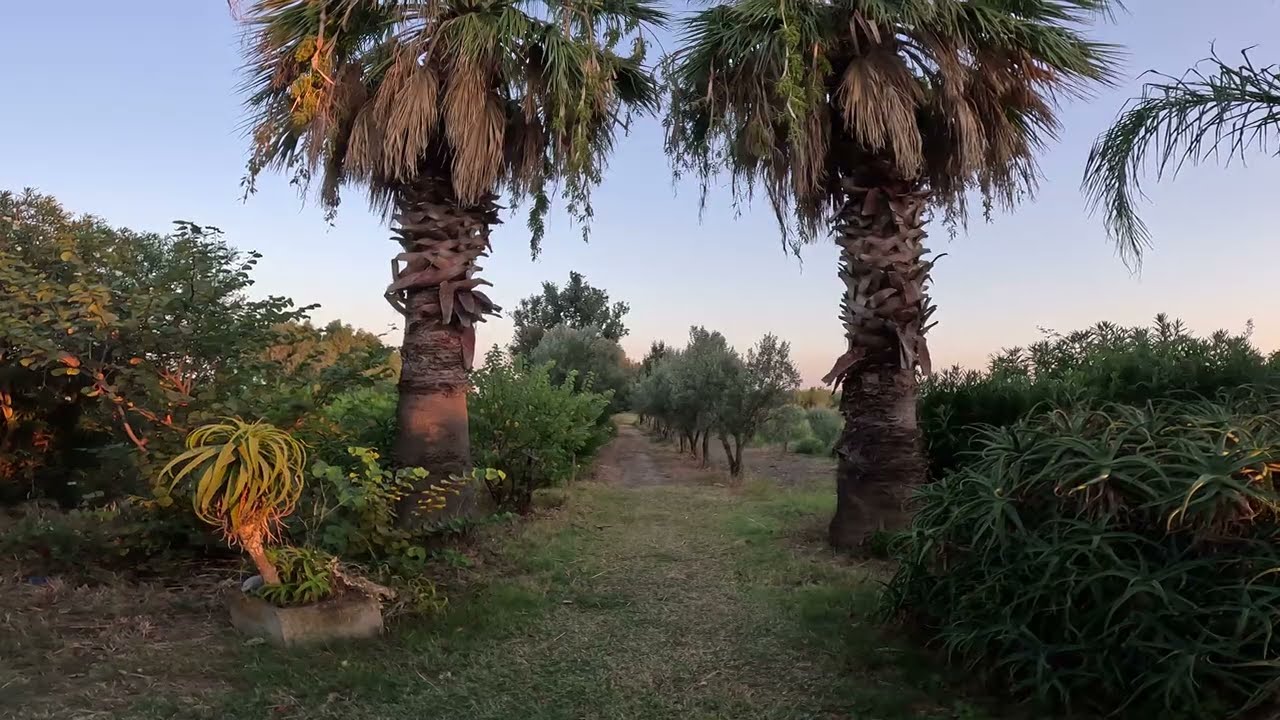 Italy/Calabria/Cropani Marina/ Torre Del Golfo 1