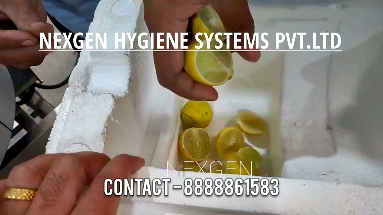 Lemon (नींबू) | Wedges Cutting Machine | Food Processing Solutions | NEXGEN HYGIENE.
