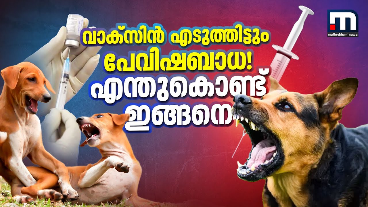 പേവിഷബാധയില്‍ വര്‍ഷവും മരിക്കുന്നത് പതിനായിരങ്ങള്‍ | Rabies Vaccine | Rabies Death | Rabies Virus