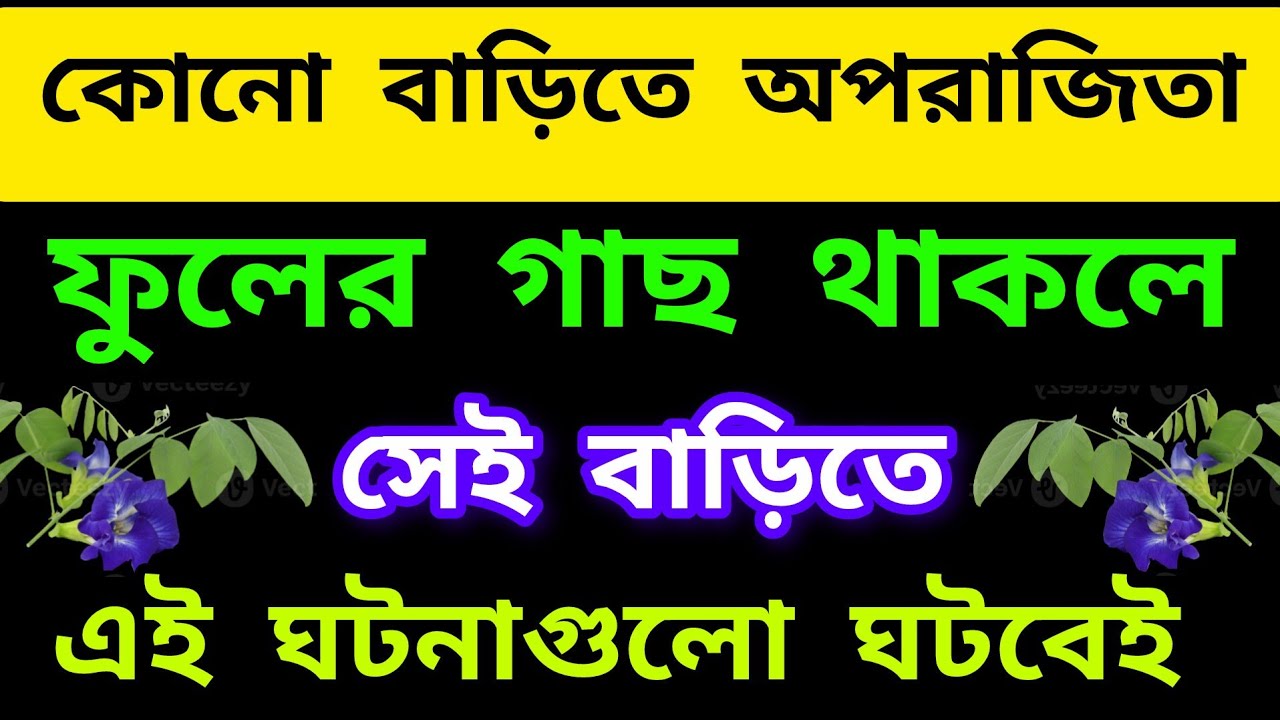 কোনো বাড়িতে অপরাজিতা ফুলের গাছ থাকলে সেই বাড়িতে এই ঘটনাগুলো ঘটবেই। Aparajita flower benefits