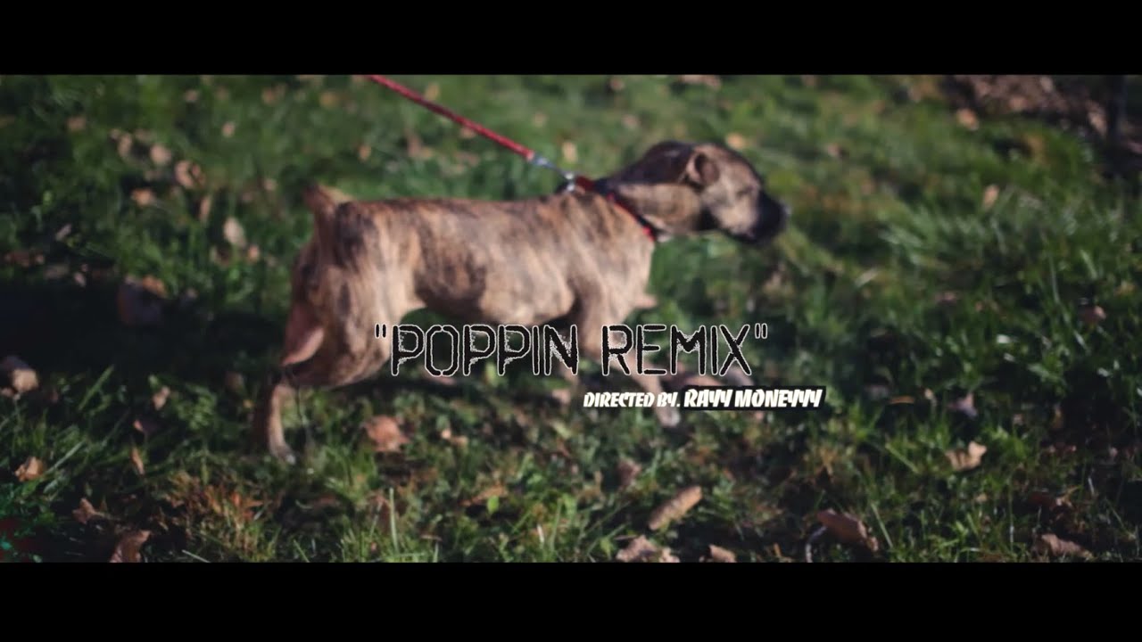The Messiah • Poppin Remix [Official Video|  | Filmed By @RayyMoneyyy