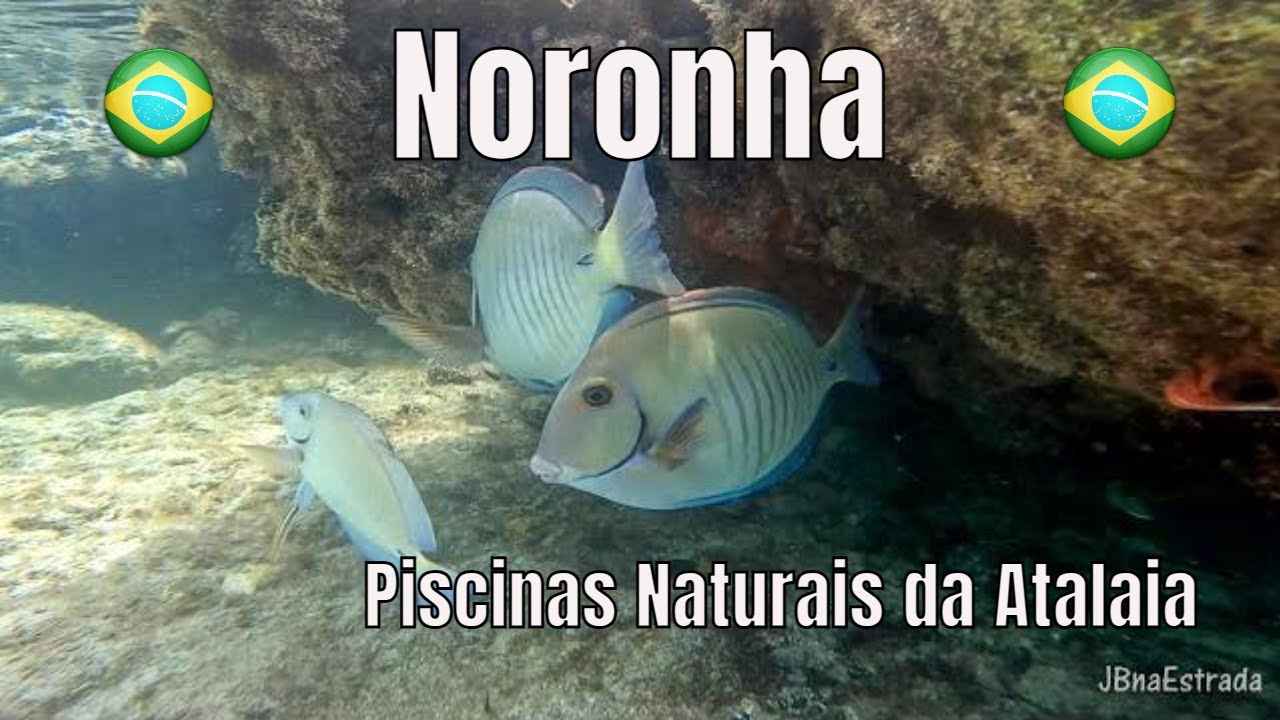 Brasil - Pernambuco - Fernando de Noronha - Piscinas Naturais da Atalaia