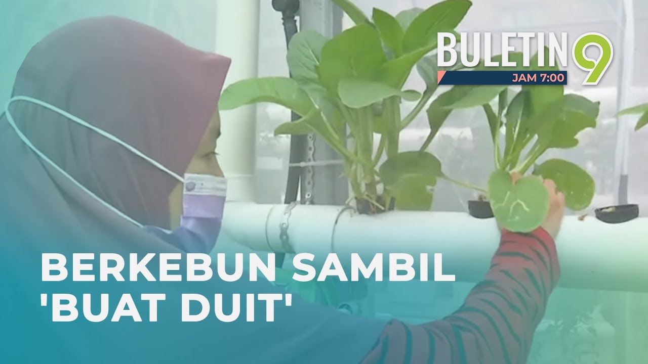 BIJAK TANI | Kebun Bandar Sumber Makanan Selamat