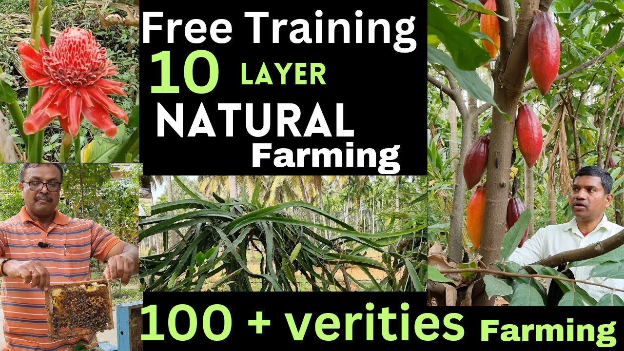 10 layer natural farming, प्राकृतिक खेती, Multilayer Natural farming #naturalfarming