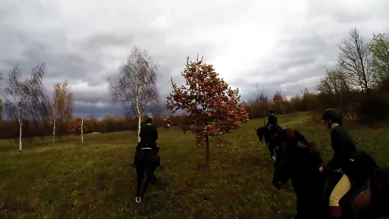 Schleppjagd mit der Vogelsberg-Meute am 16.11.2017 in Gotha