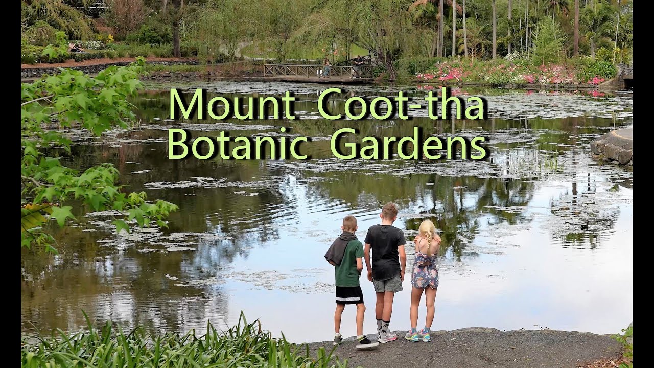 Brisbane Mount Coot-tha Botanic Gardens【4K】Travel video .