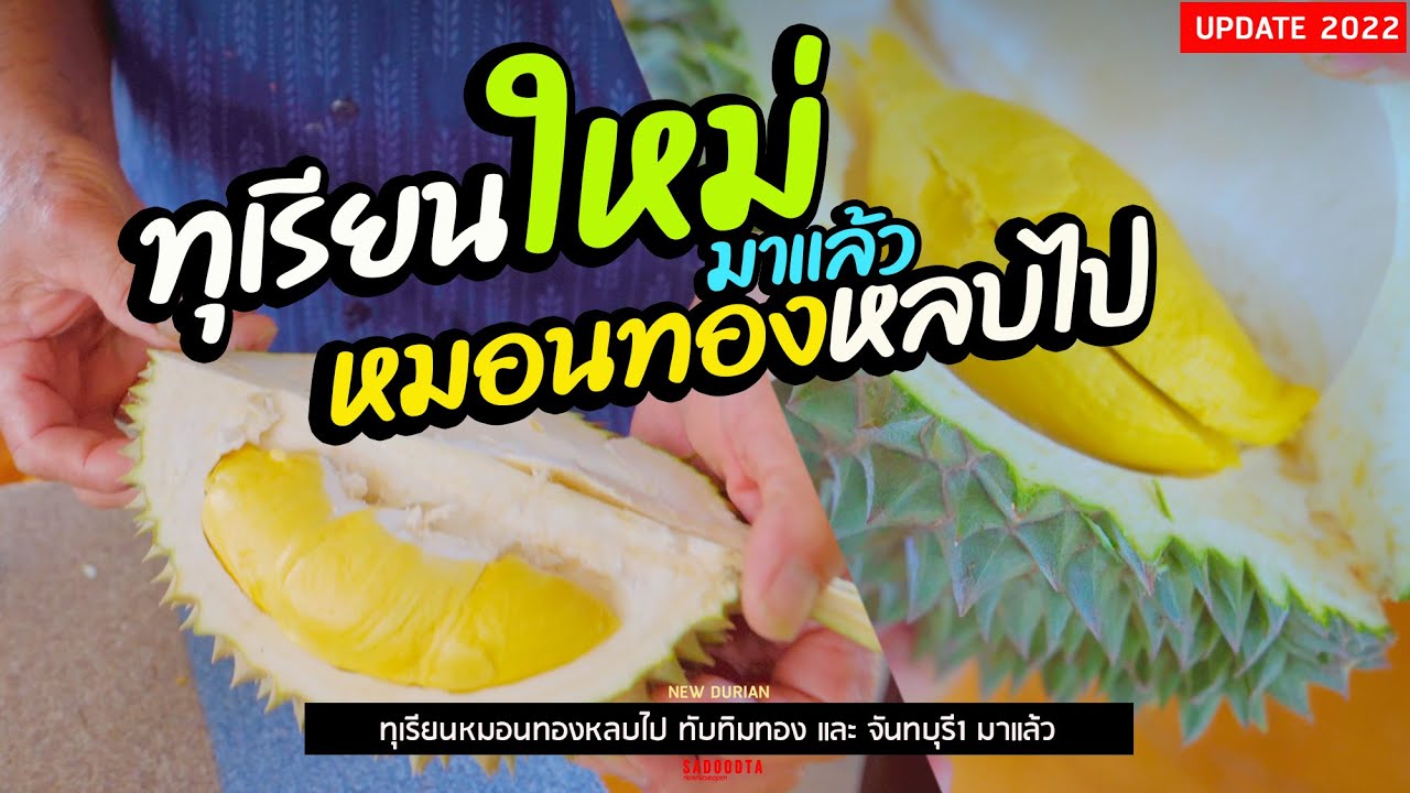 รีวิวทุเรียน 