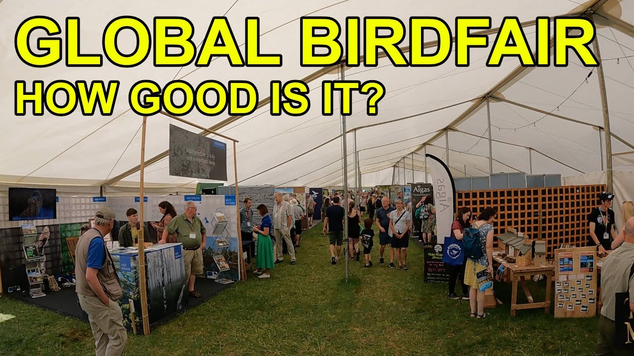 Global Birdfair Review 2022! (It's OK)