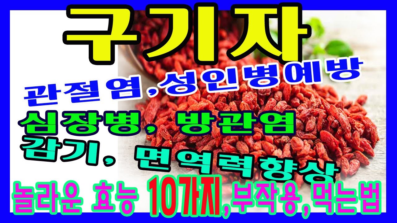 구기자효능, 부작용 및 먹는 방법입니다. 구기자의 효능, 구기자의 효과, 구기자차 #구기자의효능 #구기자의효과