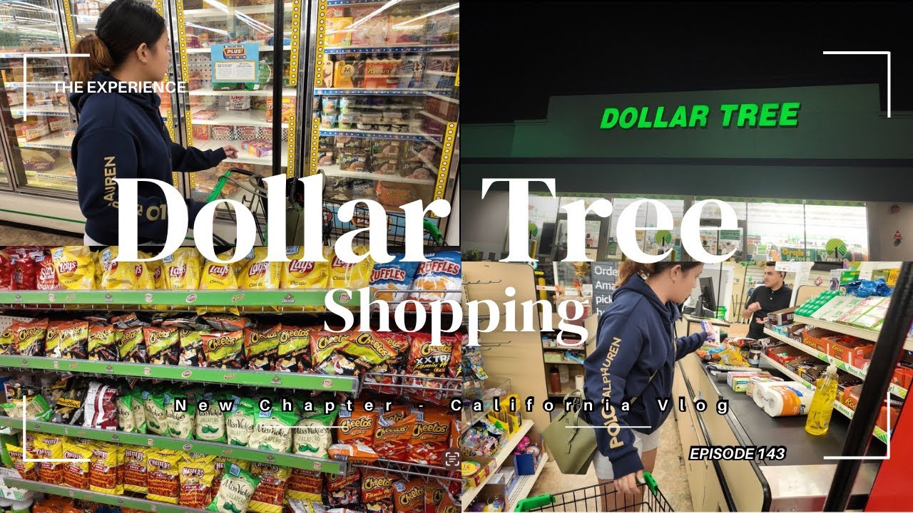 US Vlog l Dollar Tree Shopping! l heidishainevlogs💕