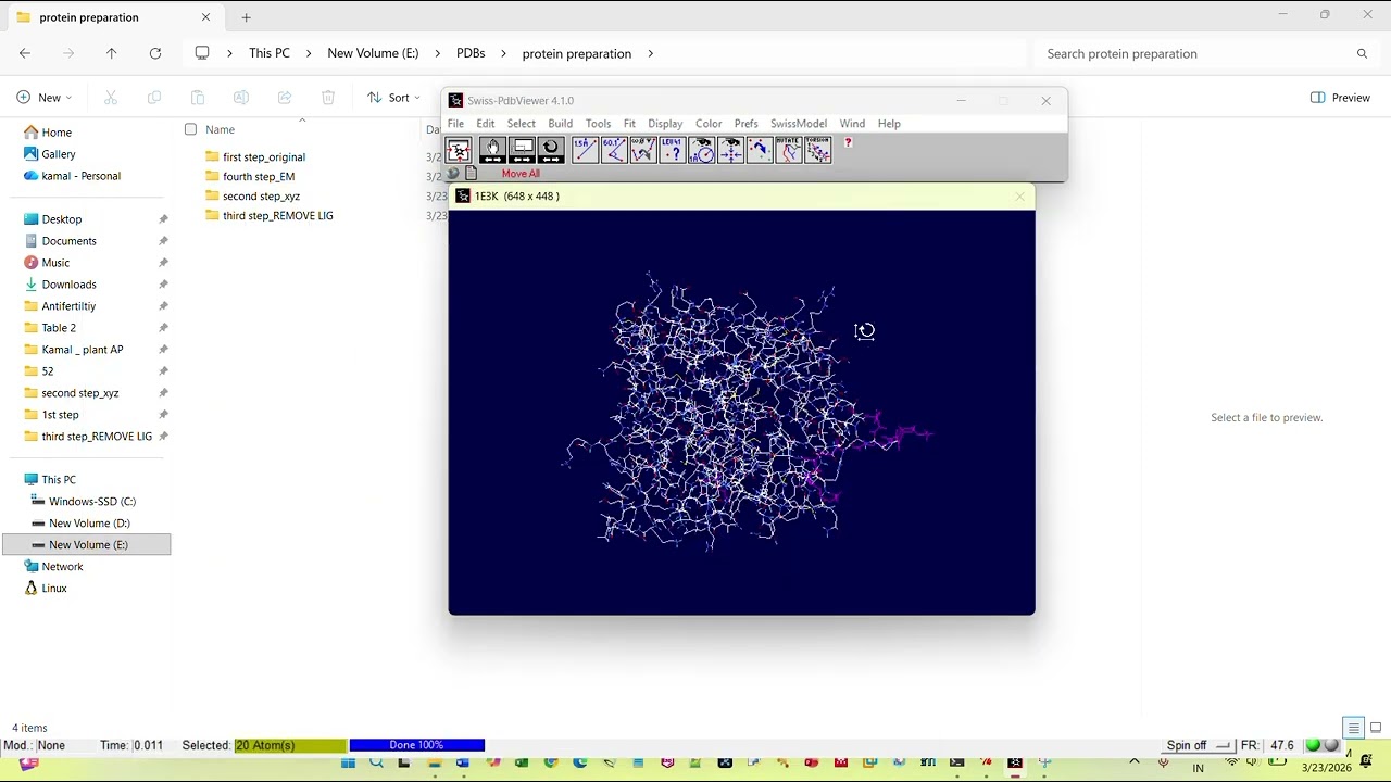 Energy Minimization of proteins (Swiss PDB viewer)