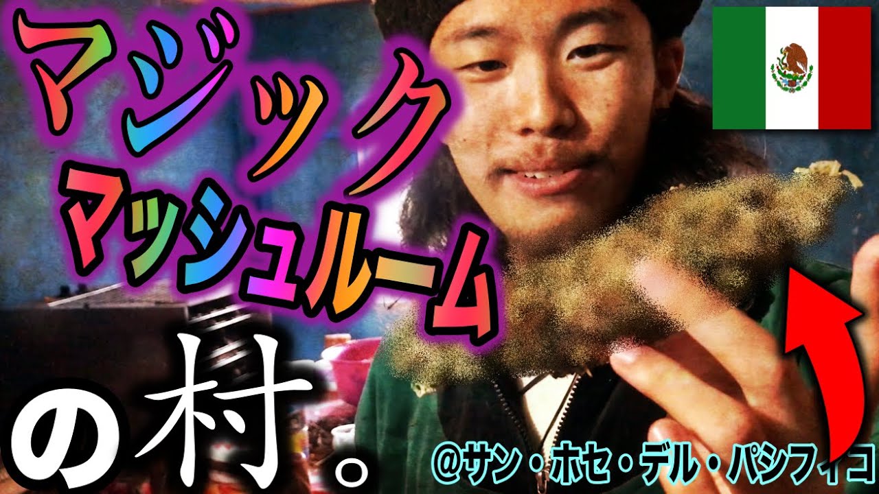 【幻覚】マジックマッシュルームで有名な町に行ったら、全てが幻想的でカオスだった。in サンホセ・デル・パシフィコ 《世界196ヶ国 制覇の旅》