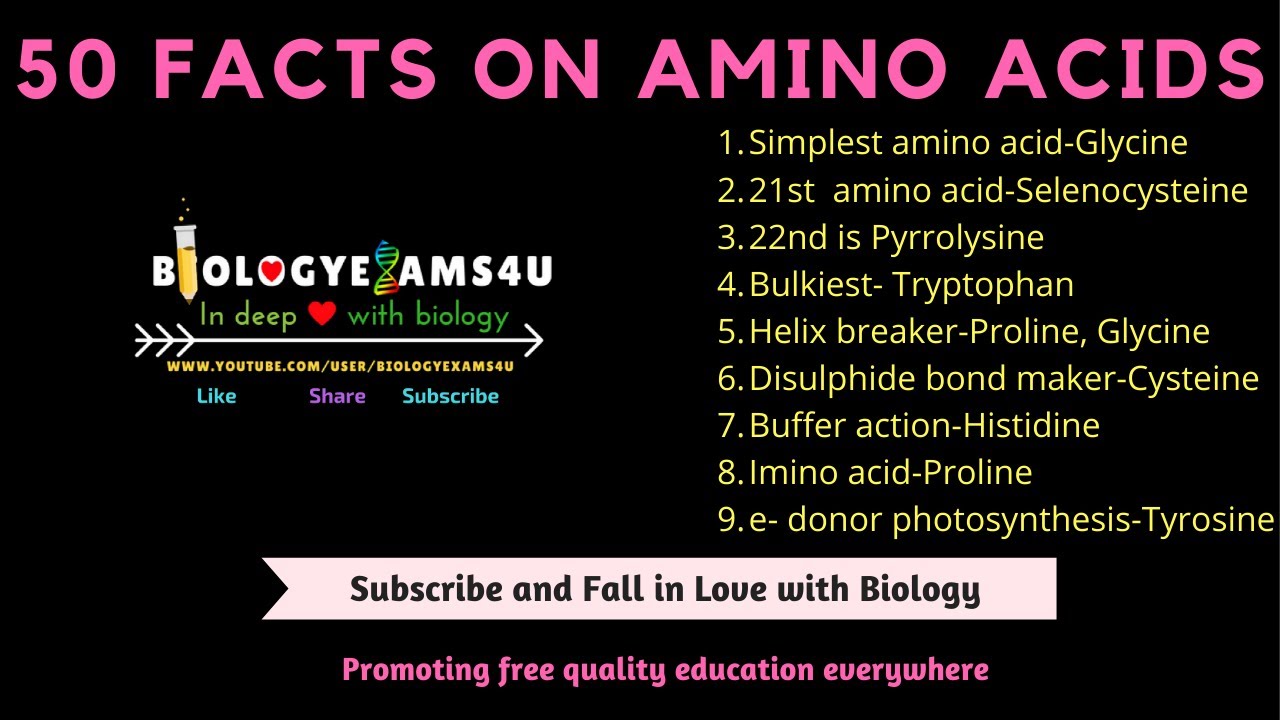 50 Amino acid Facts | Biomolecules Quick Revision