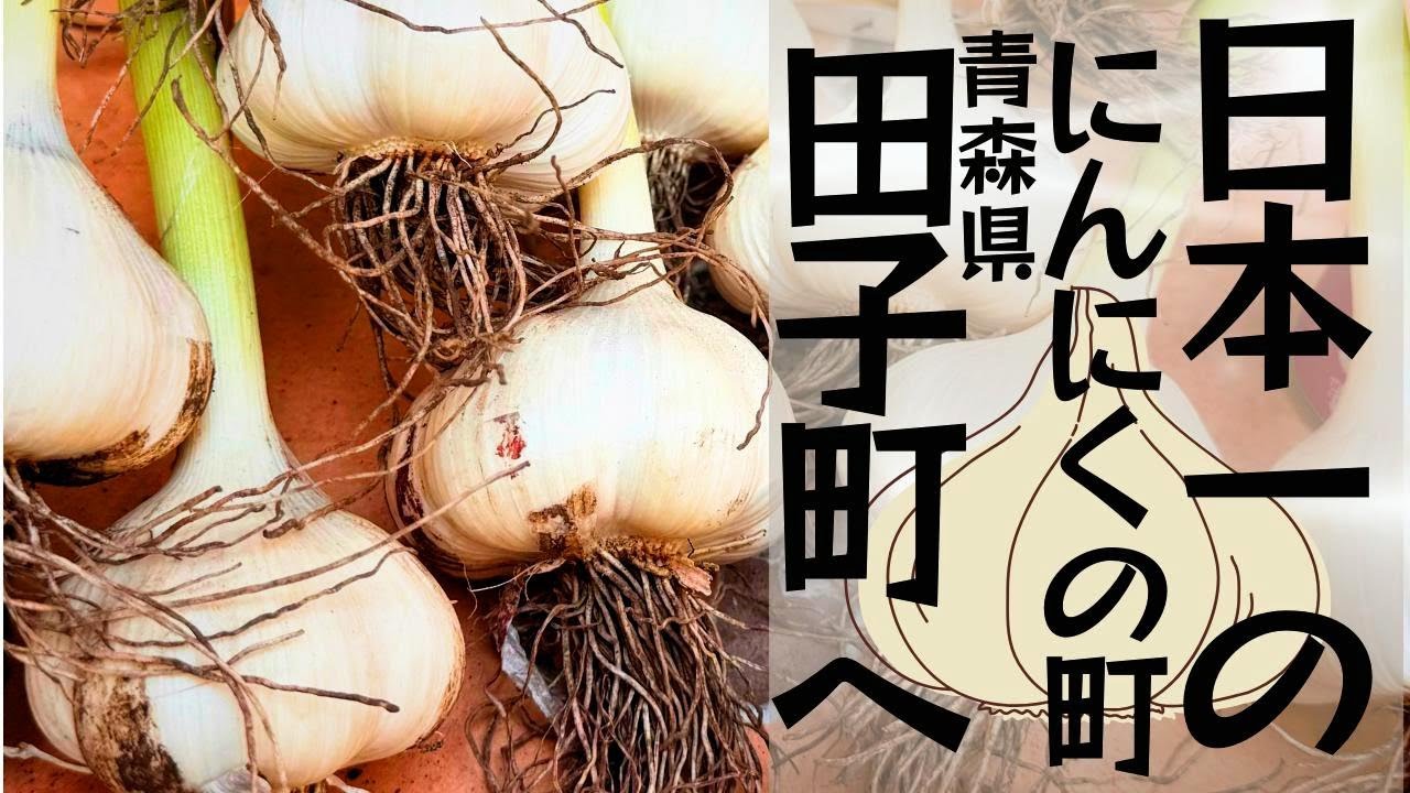 にんにく掘り体験をしににんにく日本一田子町に行ったらデューク東郷に出会った！