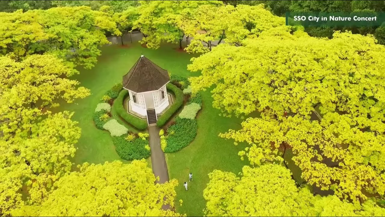 NParks Presents SSO City in Nature Concert