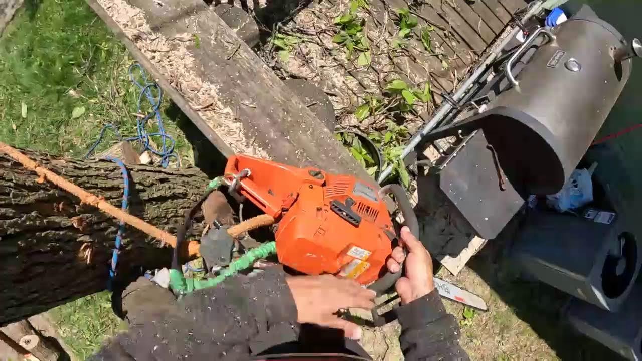 urban Tree removal